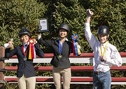 Horse Shows